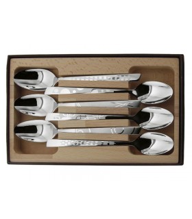 Roger Orfèvre 10107.ct Coffret 6 cuillers de table, 20 cm, tout inox. Décors Maison sur manches réalisés par microbillage