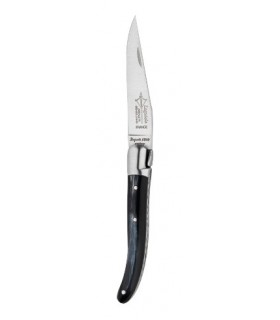 G.David 8918 Couteau, lame acier 12C27, manche 8 cm corne, mitre inox mat, ressort guilloché