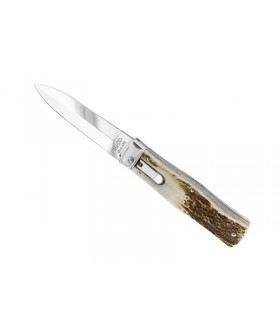 Mikov 241np Couteau Prédator, lame acier inox 420, manche 12 cm cerf véritable